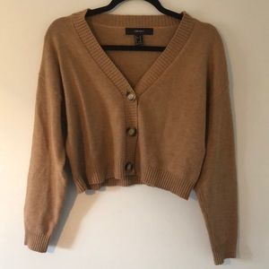 Tan Cropped Sweater 🐻🐻